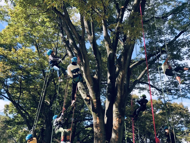太山寺森のマルシェ