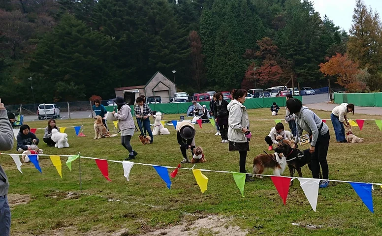 Wild About Kobe: Join the Fun at the Animal Coexistence Center Festival - News Directory 3