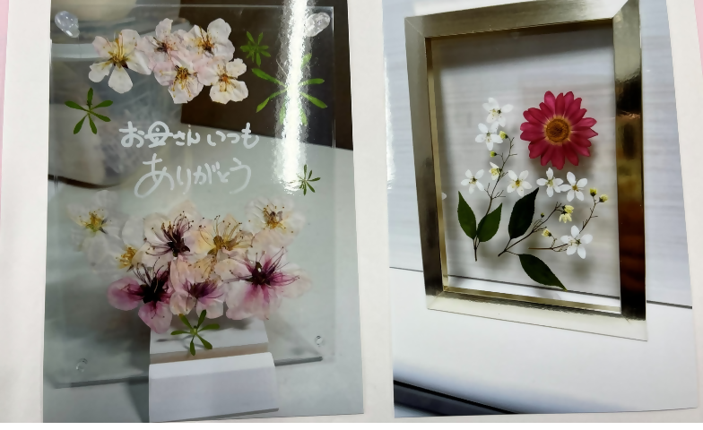 あじさい講座】押し花でクリアフレームとシールづくり | スマートこうべ