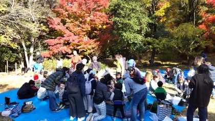 保久良夢ひろば　晩秋のもみじまつり_メイン画像