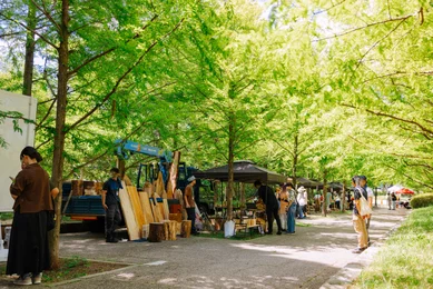 こうべの木マルシェ_メイン画像