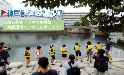 兵庫運河でアマモを育てよう！_メイン画像