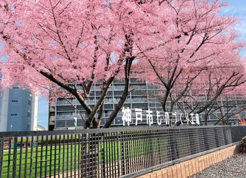 お花見ものづくりマルシェ_メイン画像