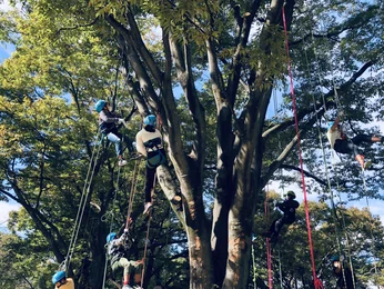 太山寺森のマルシェ_メイン画像