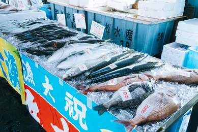 海と、魚と、_メイン画像