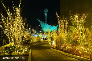 NEW SEAPORTナイトライト2025-2026_メイン画像