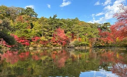 神戸市立森林植物園　植物園のもみじ散策　_メイン画像