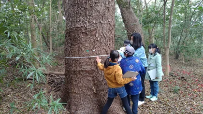 太山寺探検隊～森博士と自然の秘密を発見しよう！～_メイン画像