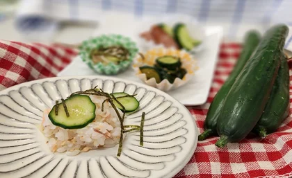 親子で学ぶ！きゅうり消費拡大プロジェクト！_メイン画像