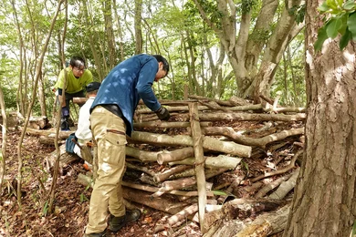 春の里山手入れ体験inキーナの森_メイン画像