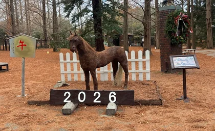 新春を祝う手作りの干支・午（うま）飾り登場_メイン画像